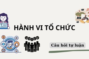 Phân tích các yếu tố ảnh hưởng đến hành vi cá nhân trong tổ chức? | Câu hỏi tự luận ôn tập môn Hành vi tổ chức | NEU (2025)