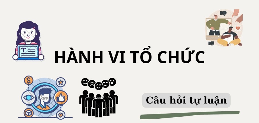 Phân tích các yếu tố ảnh hưởng đến hành vi cá nhân trong tổ chức? | Câu hỏi tự luận ôn tập môn Hành vi tổ chức | NEU