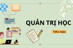 Tiểu luận tình huống chuyên viên kế toán văn phòng | Quản trị học | Trường Đại học Kinh tế (2025)
