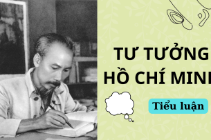 Tiểu luận: Cơ sở, quá trình hình thành và phát triển tư tưởng Hồ Chí Minh | Trường Cao đẳng Kinh tế Thành phố Hồ Chí Minh (2025)