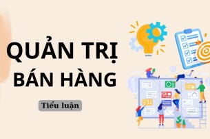 Tiểu luận Quản trị bán hàng | Trường Đại học Thủ Dầu Một (2025)