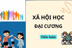 Xã hội hóa giáo dục và những vấn đề đặt ra đối với hệ thống giáo dục ở Việt Nam hiện nay | Tiểu luân môn Xã hội học đại cương | TMU (2025)