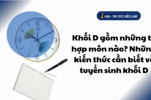 Khối D gồm những tổ hợp môn nào? Những kiến thức cần biết về tuyển sinh khối D (2025)