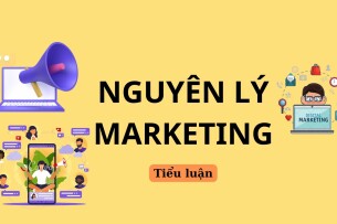 Chiến lược Marketing của công ty cổ phần sữa Vinamilk | Tiểu luận môn Nguyên lý Marketing | UFM (2025)