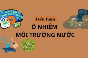 Ô nhiễm môi trường nước tại Việt Nam | Tiểu luận môn Môi trường và con người | Trường Đại học Thủ Dầu Một