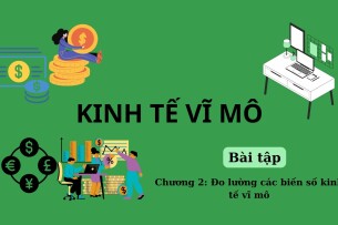 Bài tập ĐO LƯỜNG CÁC BIẾN SỐ KINH TẾ VĨ MÔ (có đáp án) | Kinh tế vĩ mô | Học viện Ngoại Giao (2025)