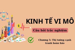 36 Câu hỏi trắc nghiệm về THỊ TRƯỜNG CẠNH TRANH HOÀN HẢO (có đáp án) | Đề cương ôn tập môn Kinh tế vi mô (2025)