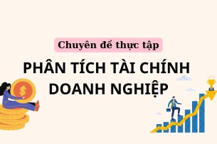 Phân tích tài chính doanh nghiệp | Chuyên đề thực tập | Trường Đại học Hải Phòng (2025)