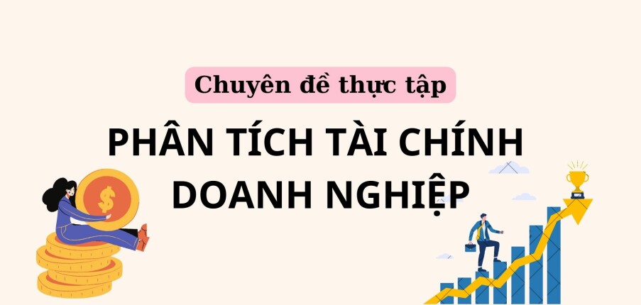 Phân tích tài chính doanh nghiệp | Chuyên đề thực tập | Trường Đại học Hải Phòng