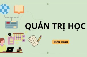 Tiểu luận về Chất lượng sản phẩm | Quản trị học | Trường Đại học Ngân hàng Thành phố Hồ Chí Minh (2025)