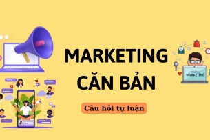 Phân tích chiến lược giá của Vinamilk? | Câu hỏi tự luận môn Marketing căn bản | Trường Đại học Kinh tế Thành phố Hồ Chí Minh (2025)
