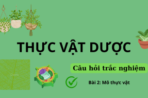 76 Câu hỏi trắc nghiệm về MÔ THỰC VẬT | Câu hỏi ôn tập môn Thực vật dược | Trường Đại học Nguyễn Tất Thành (2025)