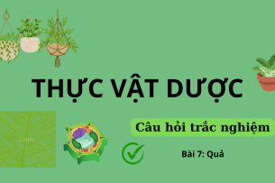 30 Câu hỏi trắc nghiệm về QUẢ (có đáp án) | Câu hỏi ôn tập môn Thực vật dược | Trường Đại học Nguyễn Tất Thành (2025)
