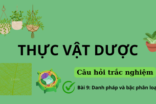 16 Câu hỏi trắc nghiệm về DANH PHÁP VÀ BẬC PHÂN LOẠI (có đáp án) | Câu hỏi ôn tập môn Thực vật dược | Trường Đại học Nguyễn Tất Thành (2025)