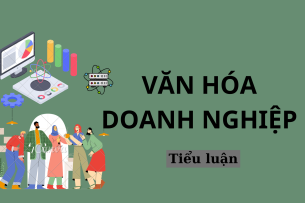 Phân tích thực trạng thực hiện văn hóa doanh nghiệp tại công ty Vinamilk | Tiểu luận môn Văn hóa doanh nghiệp | Trường Đại học Thăng Long (2025)
