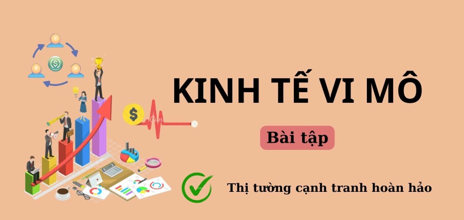 TOP 17 bài tập về THỊ TRƯỜNG CẠNH TRANH HOÀN HẢO | Đề cương ôn tập môn Kinh tế vi mô | Trường Đại học Thương Mại (2025)