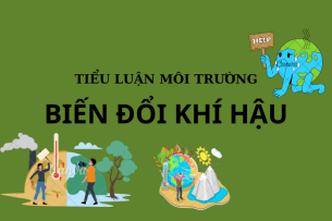 Tiểu luận môi trường về Biến đổi khí hậu | Trường Đại học Công nghệ Thành phố Hồ Chí Minh (2025)