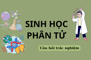 300 Câu hỏi trắc nghiệm môn Sinh học phân tử (có đáp án) | Trường Đại học Nguyễn Tất Thành (2025)