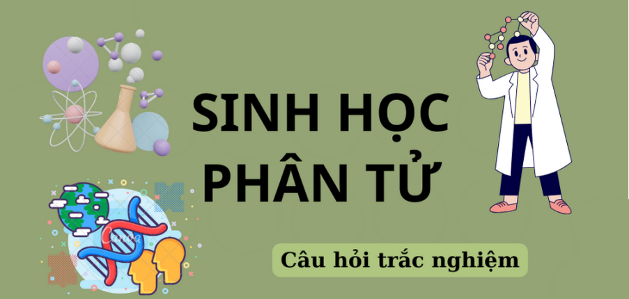 300 Câu hỏi trắc nghiệm môn Sinh học phân tử (có đáp án) | Trường Đại học Nguyễn Tất Thành