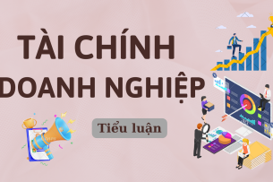 Phân tích tài chính của Công ty cổ phần tập đoàn Hòa Phát | Tiểu luận môn Tài chính doanh nghiệp | UEF (2025)