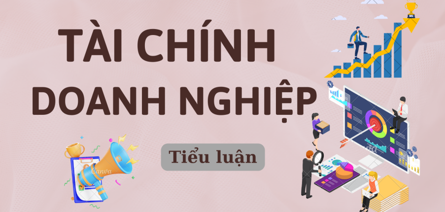 Phân tích tài chính của Công ty cổ phần tập đoàn Hòa Phát | Tiểu luận môn Tài chính doanh nghiệp | UEF