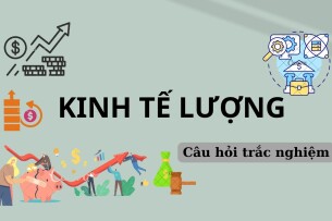 Ngân hàng Câu hỏi trắc nghiệm môn Kinh tế lượng (có đáp án) | Trường Đại học Kinh tế quốc dân (2025)