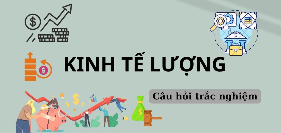 Ngân hàng Câu hỏi trắc nghiệm môn Kinh tế lượng (có đáp án) | Trường Đại học Kinh tế quốc dân