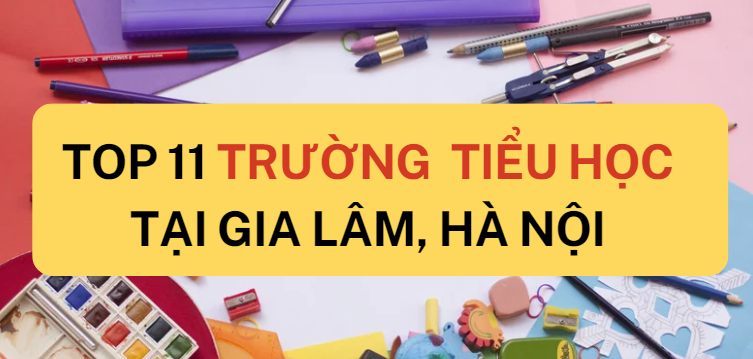 TOP 11 trường Tiểu học hàng đầu tại Gia Lâm, Hà Nội