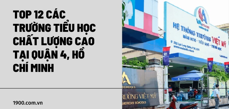 Top 12 các Trường Tiểu học chất lượng cao tại quận 4, Hồ Chí Minh