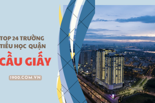 TOP 24 trường Tiểu học chất lượng cao tại quận Cầu Giấy (2025)