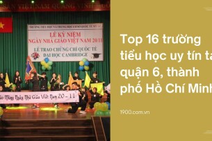 Top 16 trường tiểu học uy tín tại quận 6, thành phố Hồ Chí Minh (2025)