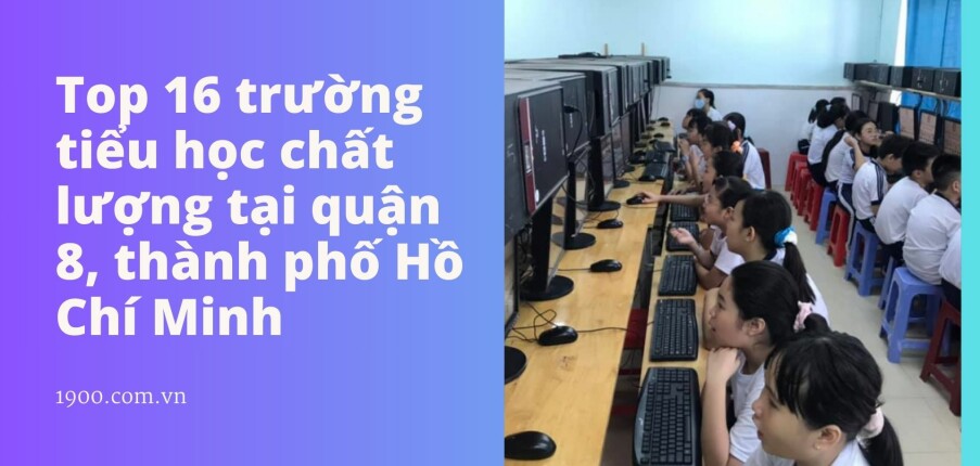 Top 16 trường tiểu học chất lượng tại quận 8, thành phố Hồ Chí Minh