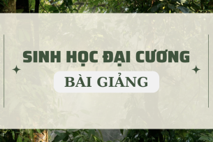 Bài giảng PPT (Power Point) học phần Sinh học đại cương | SLIDE | Đại học Bách Khoa Hà Nội (2025)