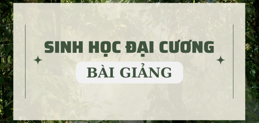 Bài giảng PPT (Power Point) học phần Sinh học đại cương | SLIDE | Đại học Bách Khoa Hà Nội