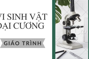 Giáo trình môn Vi sinh vật đại cương | Đại học Bách Khoa Hà Nội (2025)