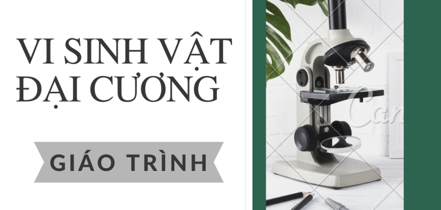 Giáo trình môn Vi sinh vật đại cương | Đại học Bách Khoa Hà Nội