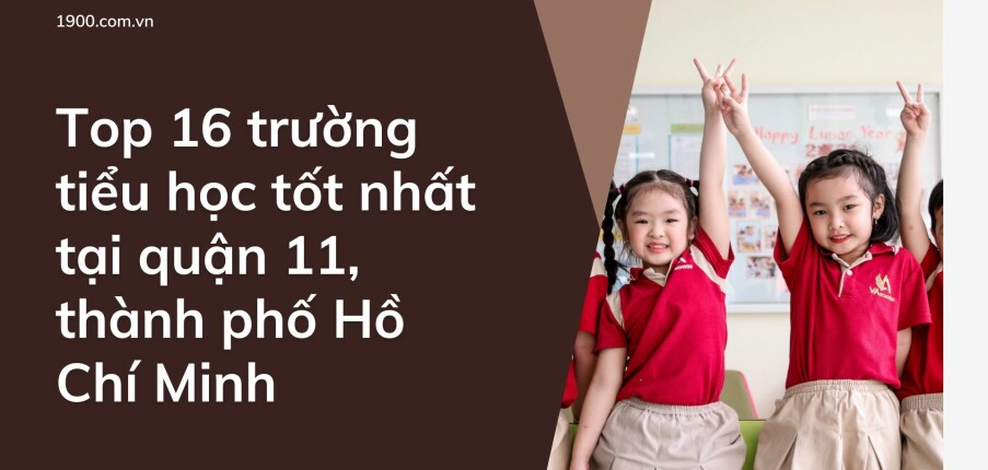 Top 16 trường tiểu học tốt nhất tại quận 11, thành phố Hồ Chí Minh