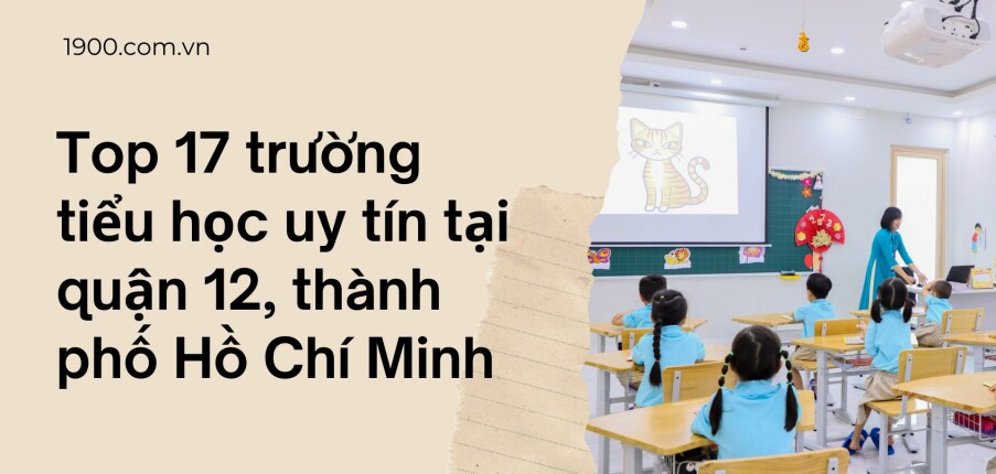 Top 17 trường tiểu học uy tín tại quận 12, thành phố Hồ Chí Minh