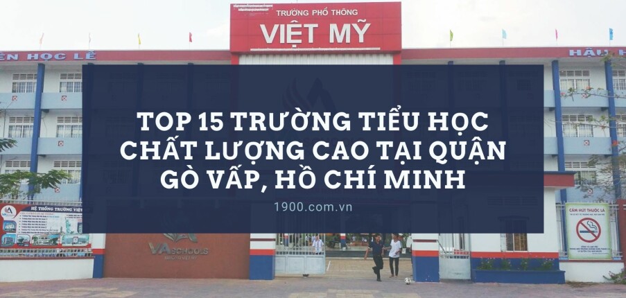 Top 15 Trường Tiểu học chất lượng cao tại quận Gò Vấp, Hồ Chí Minh