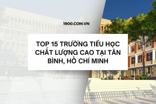 Top 15 Trường Tiểu học chất lượng cao tại Tân Bình, Hồ Chí Minh