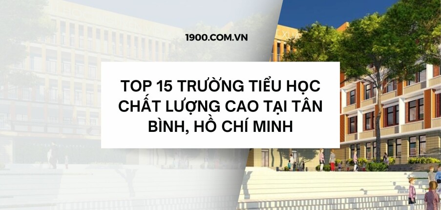 Top 15 Trường Tiểu học chất lượng cao tại Tân Bình, Hồ Chí Minh