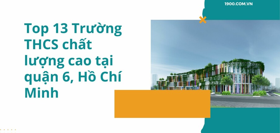 Top 13 Trường THCS chất lượng cao tại quận 6, Hồ Chí Minh