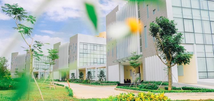 TOP 20 trường đại học tốt nhất TP. Hồ Chí Minh