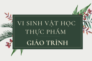 Giáo trình môn Vi sinh vật học thực phẩm | Đại học Bách Khoa Hà Nội (2025)