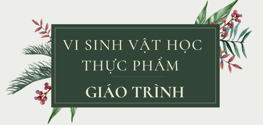 Giáo trình môn Vi sinh vật học thực phẩm | Đại học Bách Khoa Hà Nội