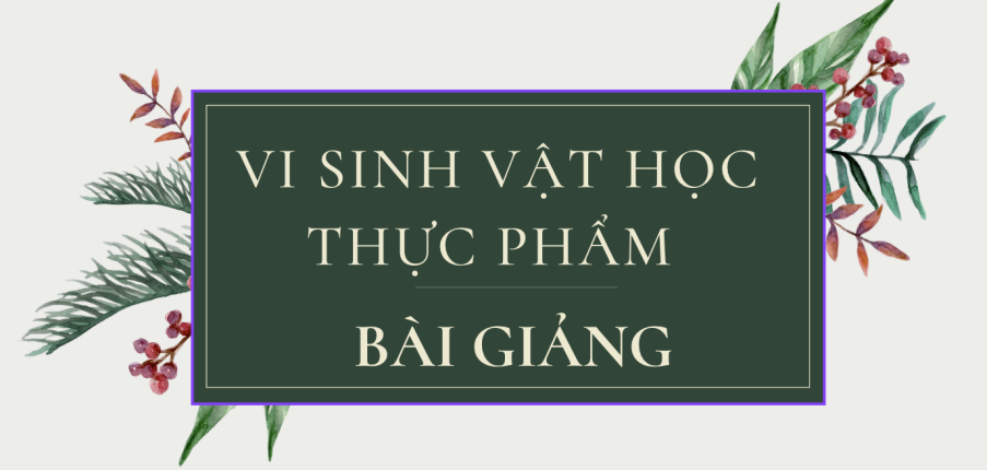 Bài giảng PPT (Power Point) học phần Vi sinh vật học thực phẩm | SLIDE | Đại học Bách Khoa Hà Nội