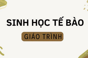 Giáo trình môn Sinh học tế bào | Đại học Bách Khoa Hà Nội (2025)