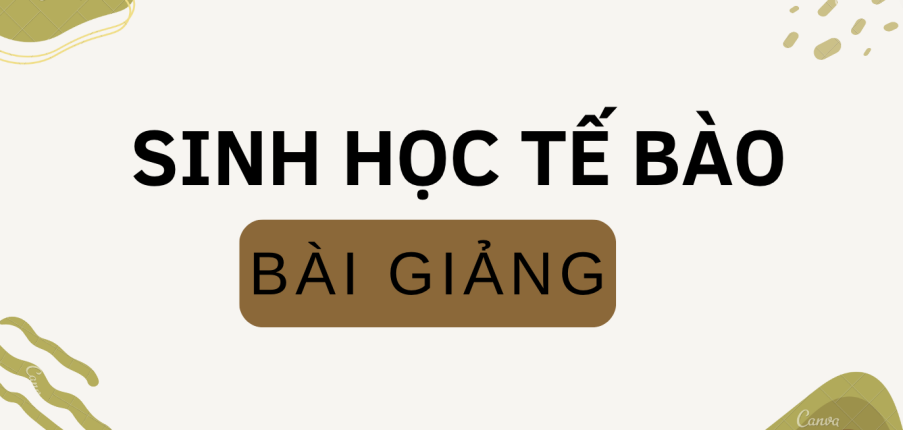 Bài giảng PPT (Power Point) học phần Sinh học tế bào | SLIDE | Đại học Bách Khoa Hà Nội