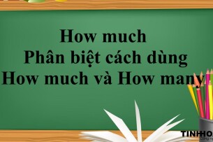 How much là gì? | Cấu trúc - Cách dùng - Phân biệt cách dùng How much và How many trong tiếng Anh - Bài tập vận dụng (2025)
