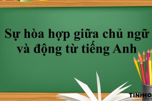 Các quy tắc về sự hòa hợp giữa chủ ngữ và động từ tiếng Anh cô đọng